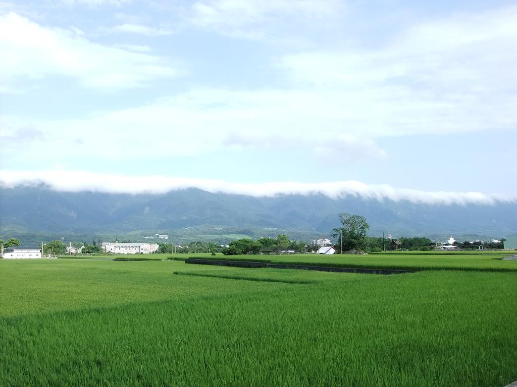 池上福吉園素食民宿 臺東縣民宿073號 請勿透過阿勾達訂房 Ngoại thất bức ảnh